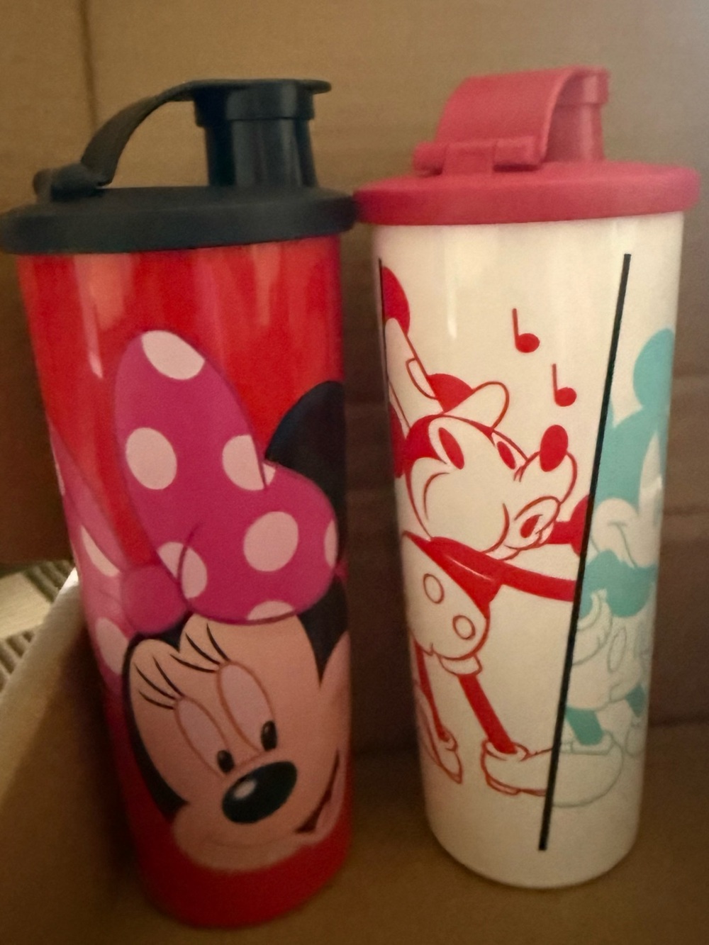 Tupperware/Disney Tumbler Set